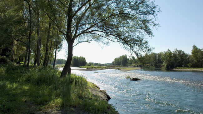 Berges du Gave du Pau