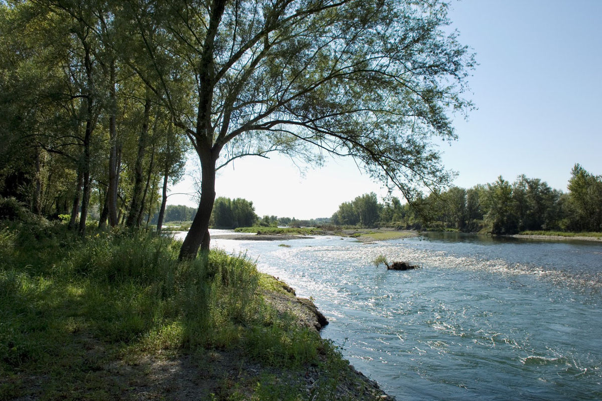 The riverbanks of the Gave de Pau in Summer