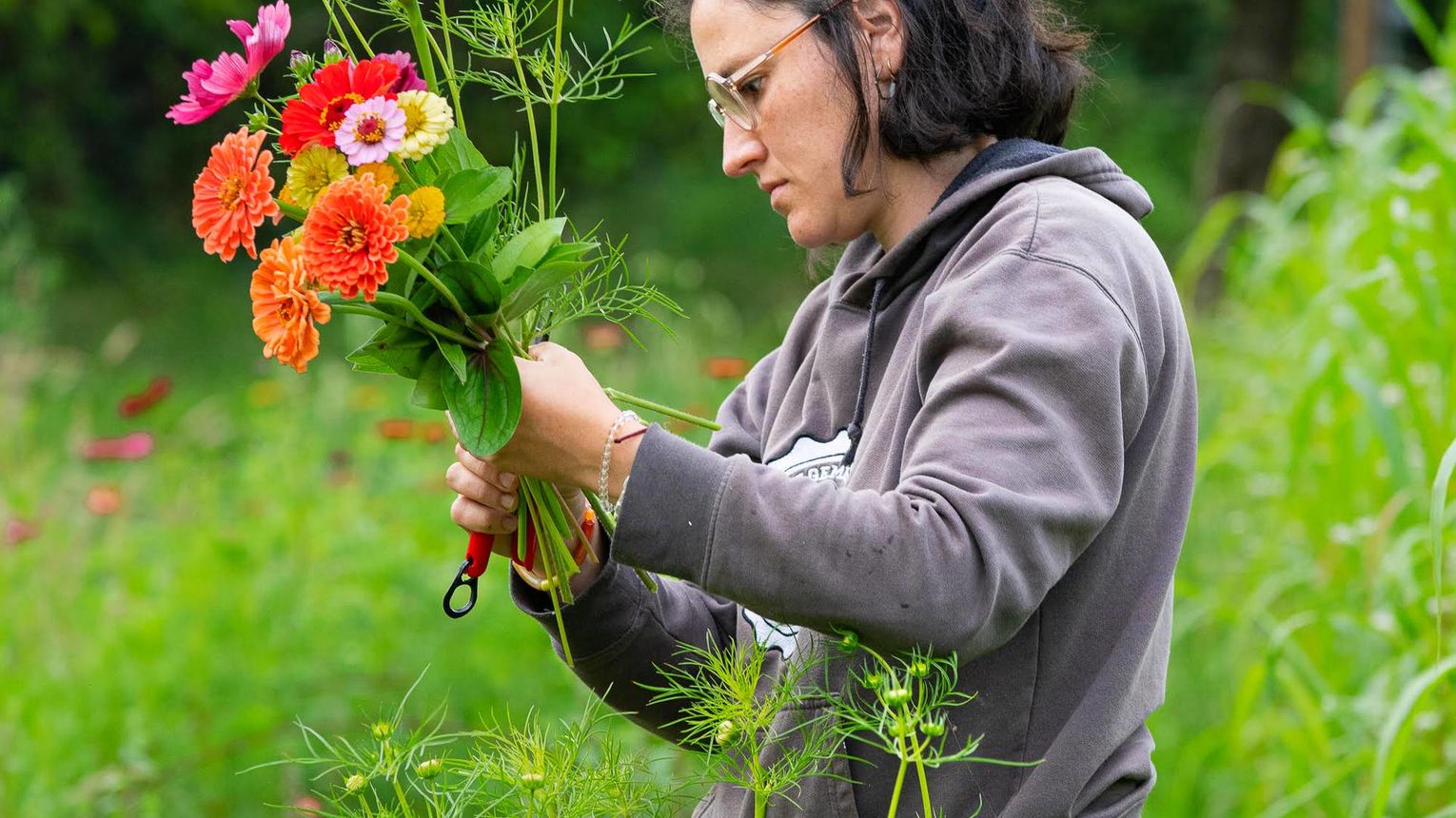 Maison Butine - MONEIN