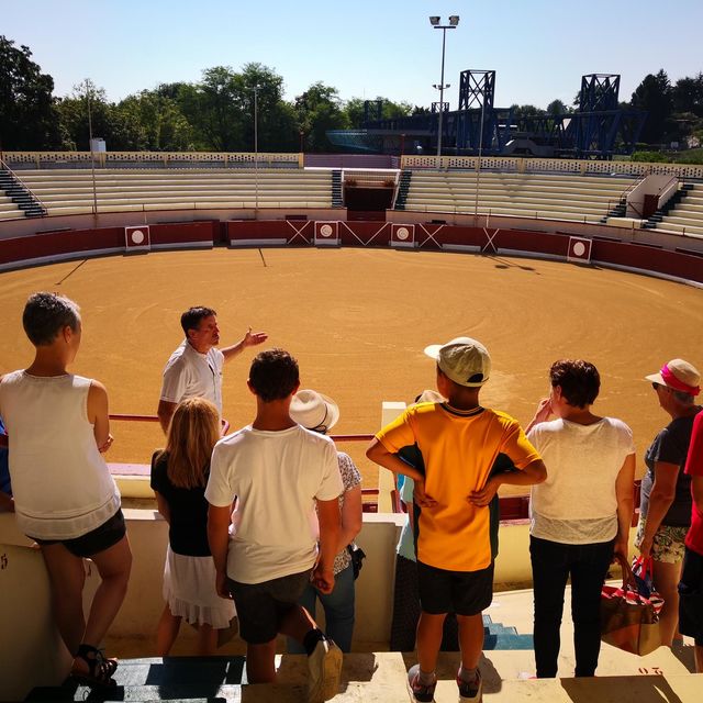 Visites des arènes du Pesquè - Orthez
