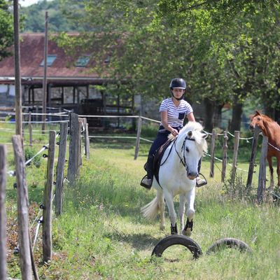 Parc d'aventures à cheval - VIELLESEGURE