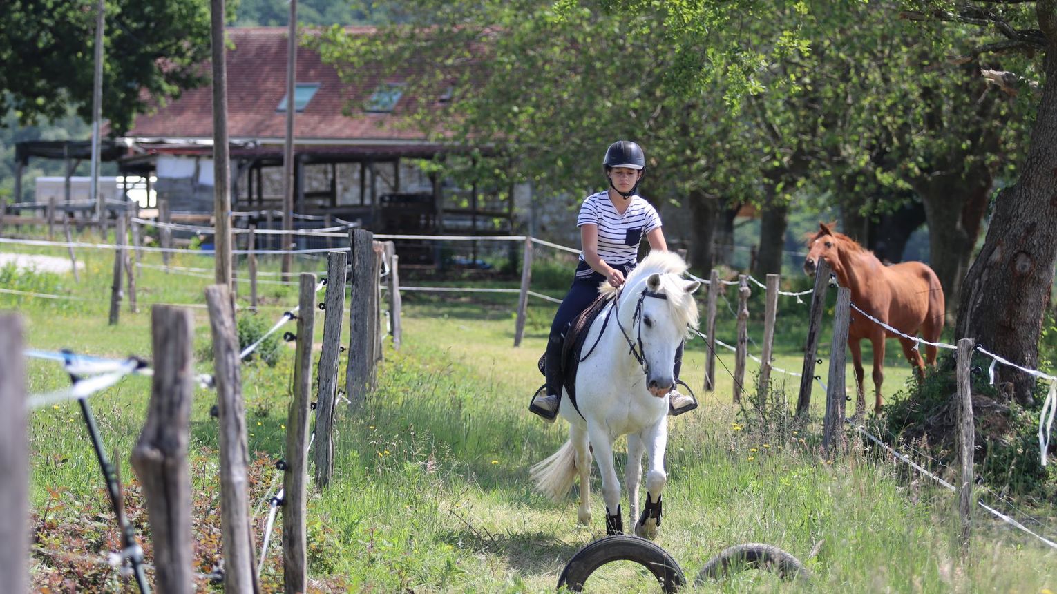 Parc d'aventures à cheval - VIELLESEGURE