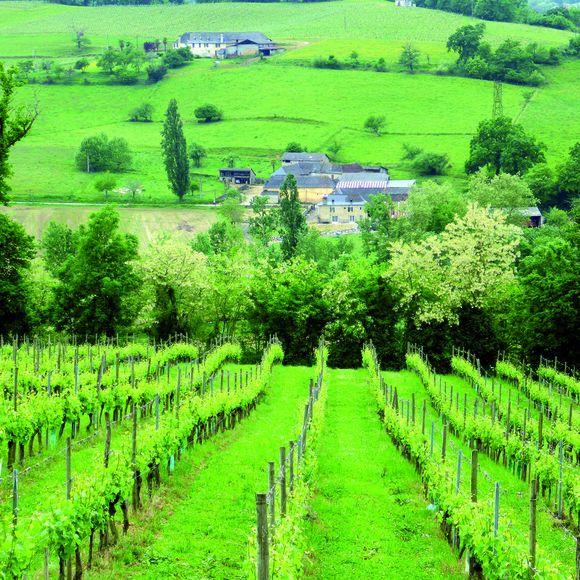 Evenement : Lacq-Orthez, terre de vin - MOURENX
