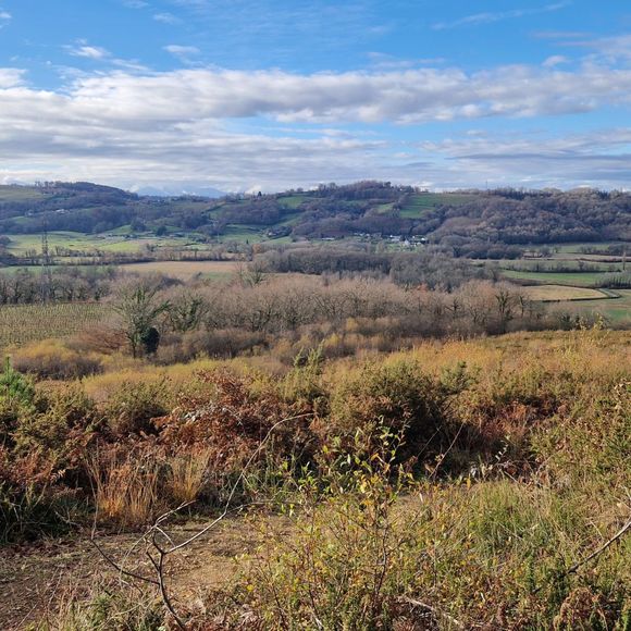Biodivélo : Roulons à tire d'ailes vers les landes d'Abos et les papillons présents ! - ABOS