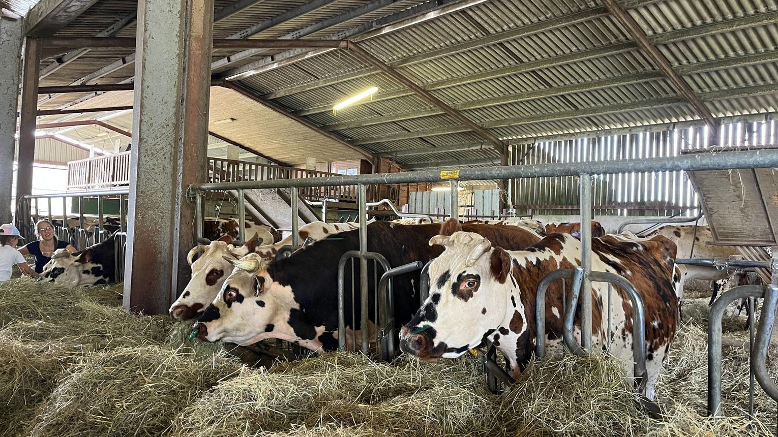 Jeu de piste - Le Pacte du vivant - CASTETIS