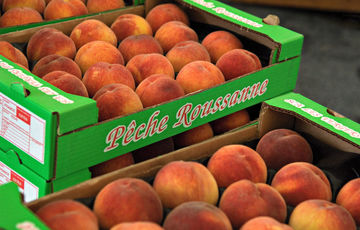 Roussanne peaches