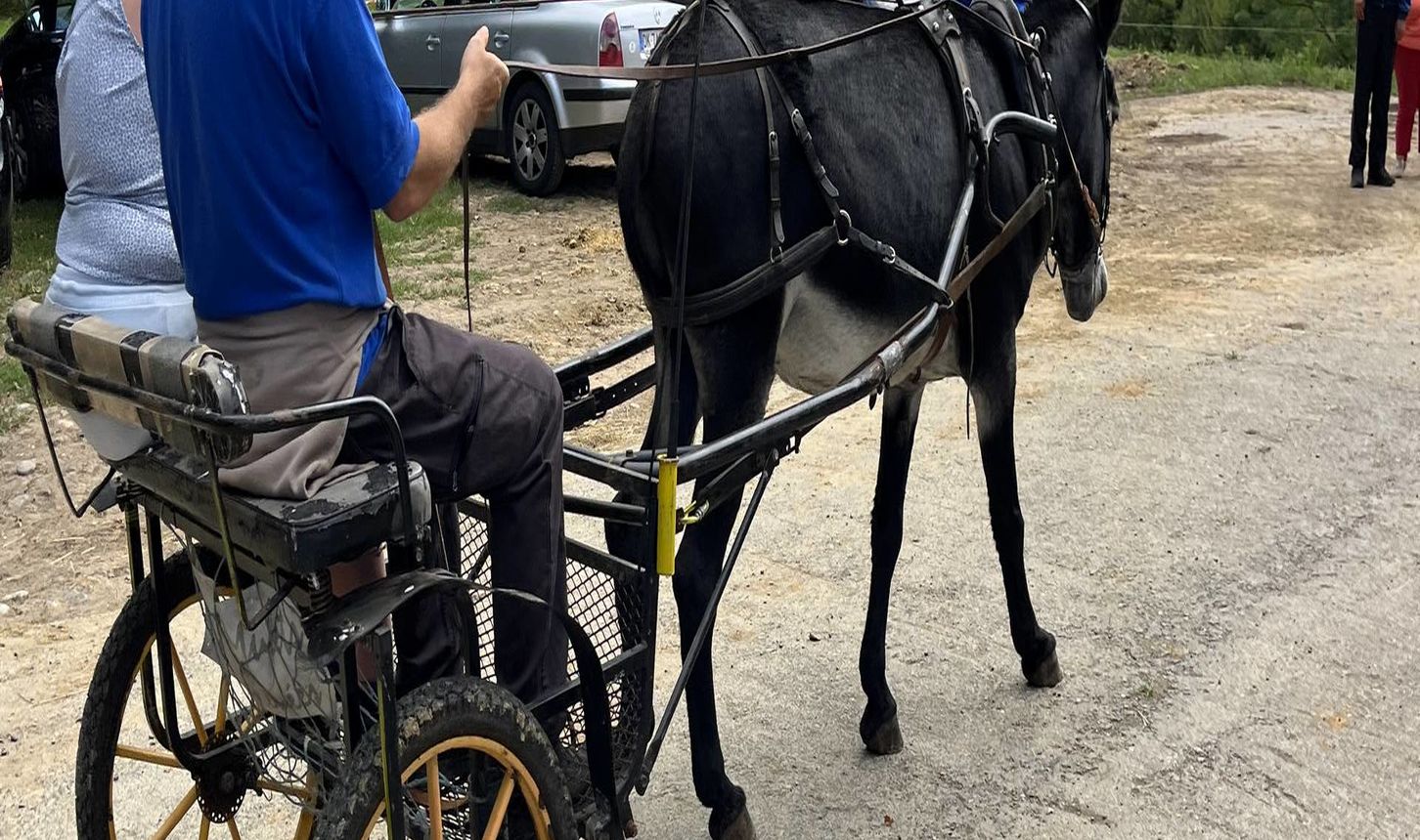 Lait p'tits béarnais - CASTETIS
