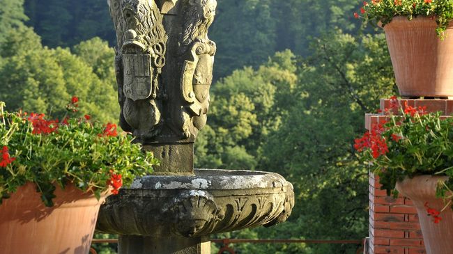 Le jardin du Château de Laàs