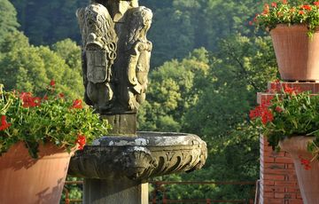 Le jardin du Château de Laàs