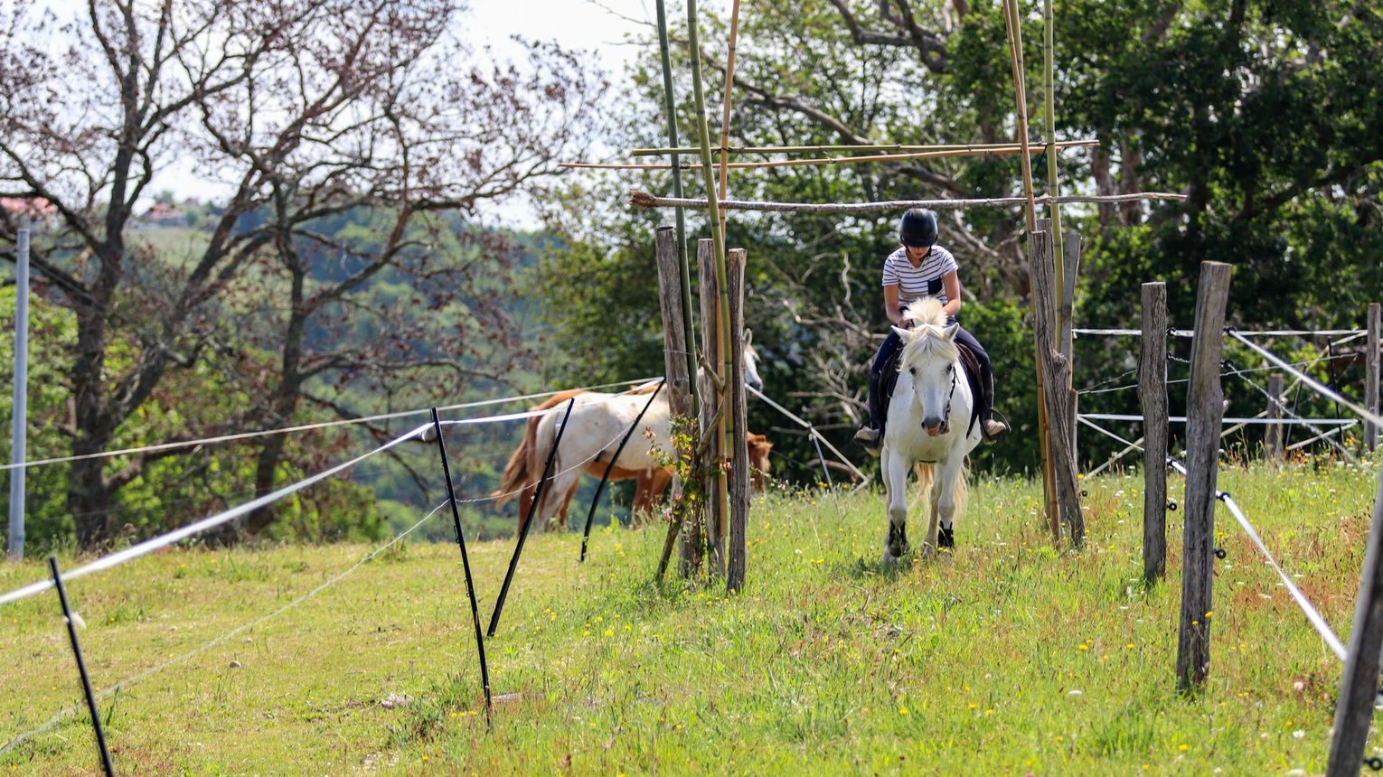 Parc d'aventures à cheval - VIELLESEGURE