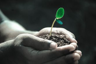 Bourse aux plantes - CESCAU