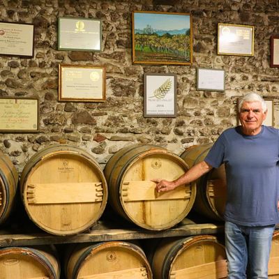 Domaine Malarrode - MONEIN