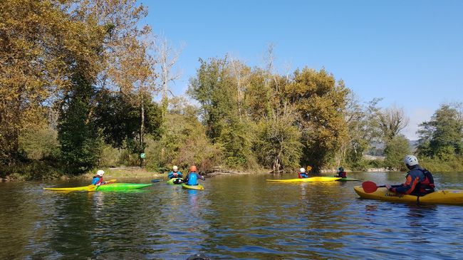 Canoës sur le Gave de Pau Béarn