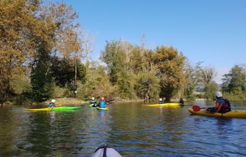 Canoës sur le Gave de Pau Béarn