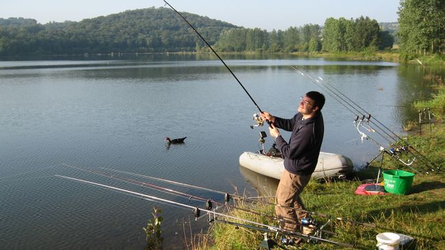 Pêche à la carpe en Béarn