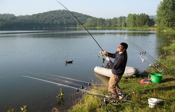 Pêche à la carpe en Béarn