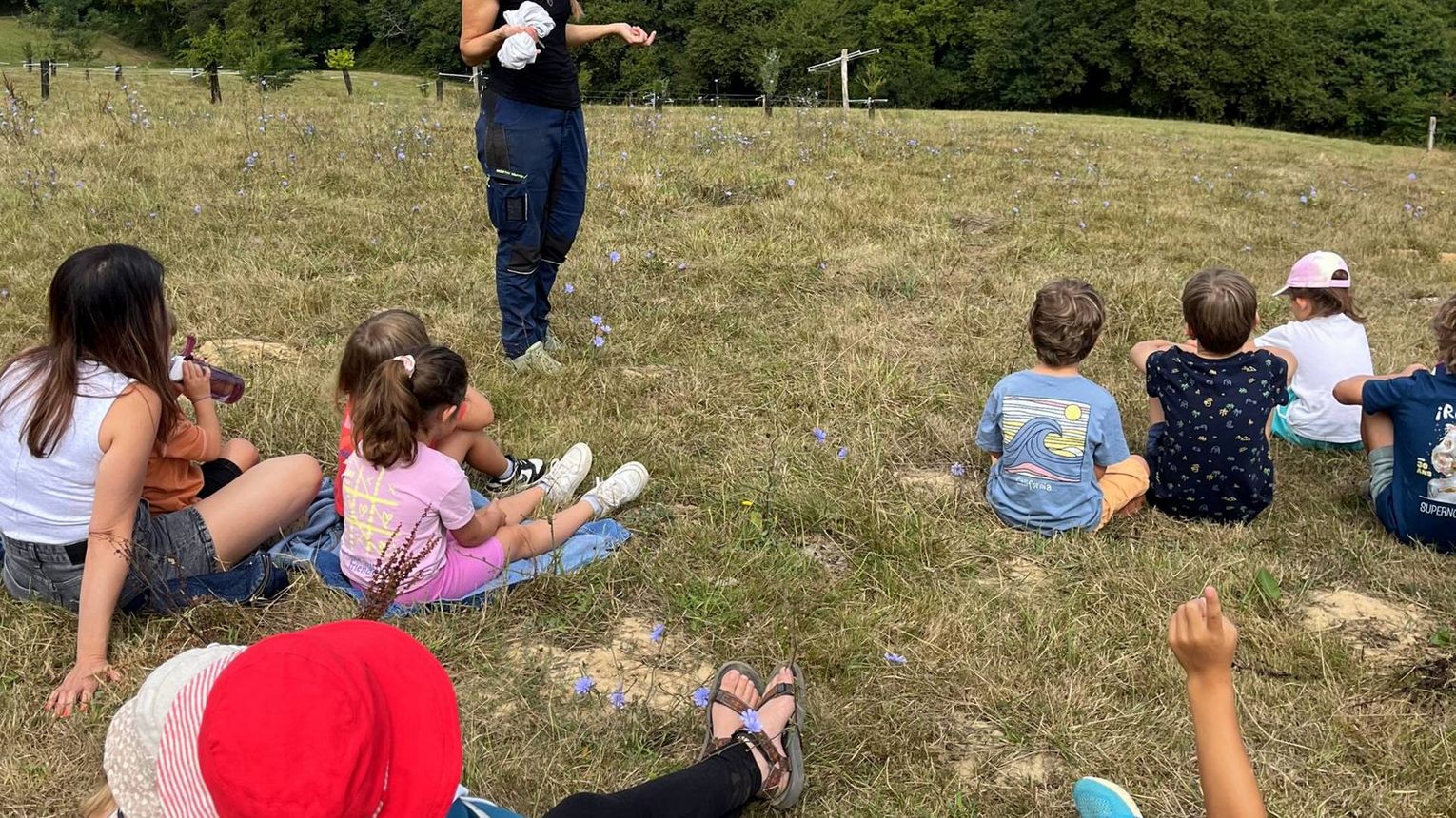 Lait p'tits béarnais - CASTETIS