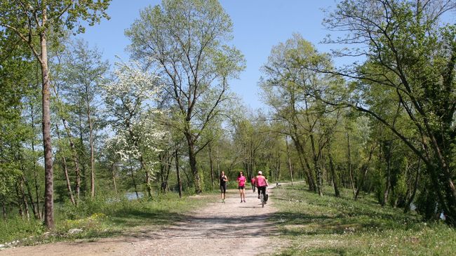 Footing au bord du lac