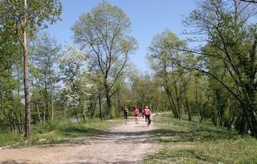 Footing au bord du lac