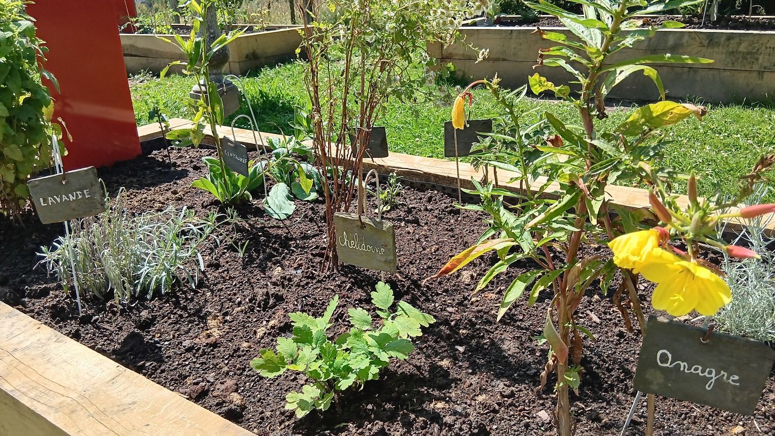 La Commanderie de Lacommande - LACOMMANDE