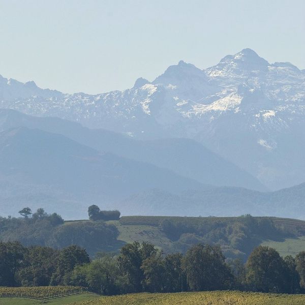 Vue sur les Pyrénées en Coeur de Béarn