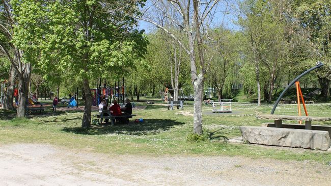 Profiter des espaces arborés de la base de loisirs