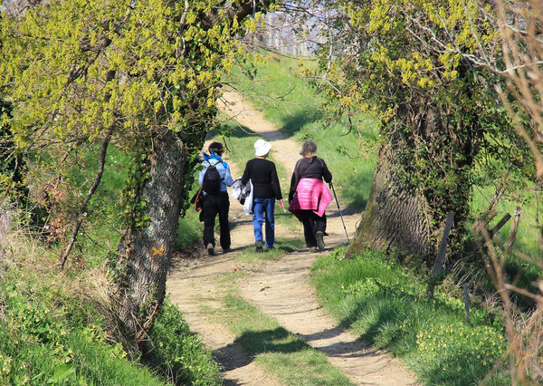 Balades en Cœur de Béarn