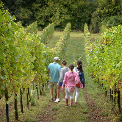 Walks with your family in Cœur de Béarn