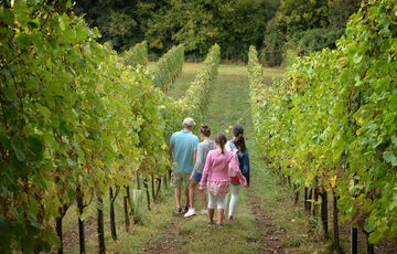 Walks with your family in Cœur de Béarn