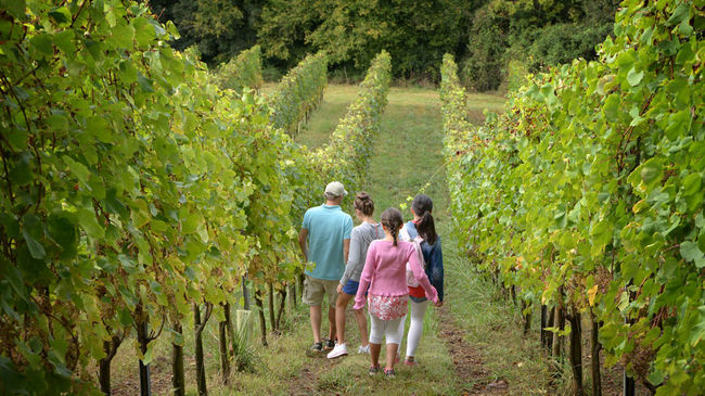 Balades en famille en Coeur de Béarn