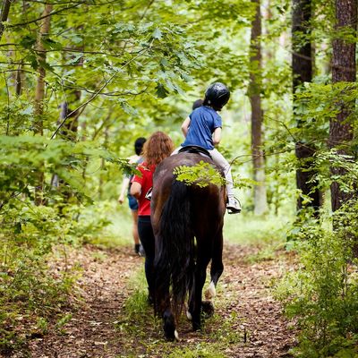 Parc d'aventures à cheval - VIELLESEGURE