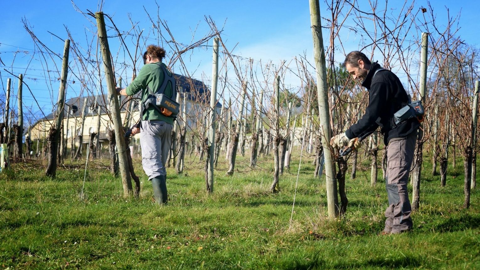 Domaine Capdevielle - MONEIN