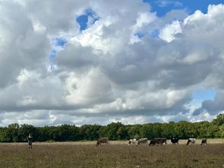 Journée agriculturelle - CASTETIS
