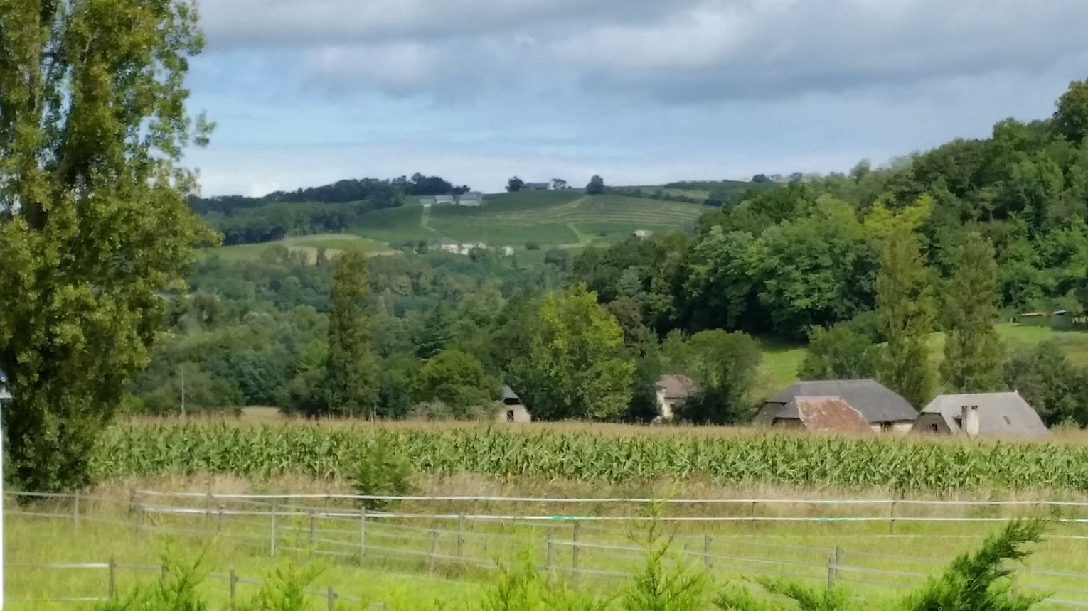 Gîtes de Bernet - Les Roses - MONEIN