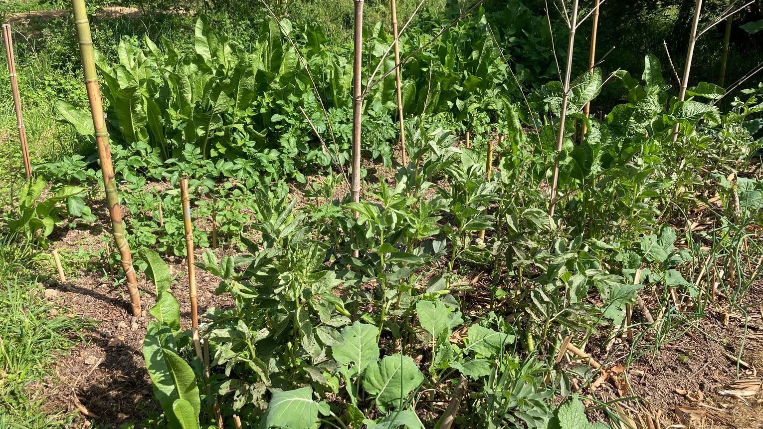 Chambres d'hôtes "La Ferme Acoucoula" - ORTHEZ