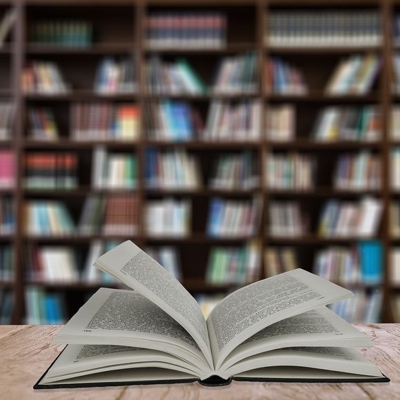 Exposition-vente de livres et conférence - ORTHEZ