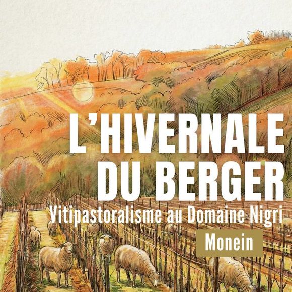 L'hivernale du berger - MONEIN