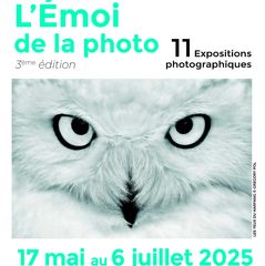 Vernissage expositions : L'émoi de la photo - ORTHEZ