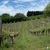 Balade vigneronne : Domaine Larroudé - LUCQ-DE-BEARN