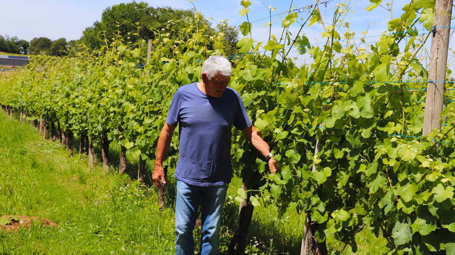 Domaine Malarrode - MONEIN