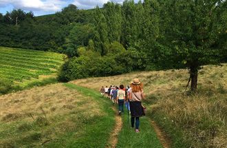 Balade vigneronne : Domaine Larroudé - LUCQ-DE-BEARN