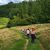 Balade vigneronne : Domaine Larroudé - LUCQ-DE-BEARN
