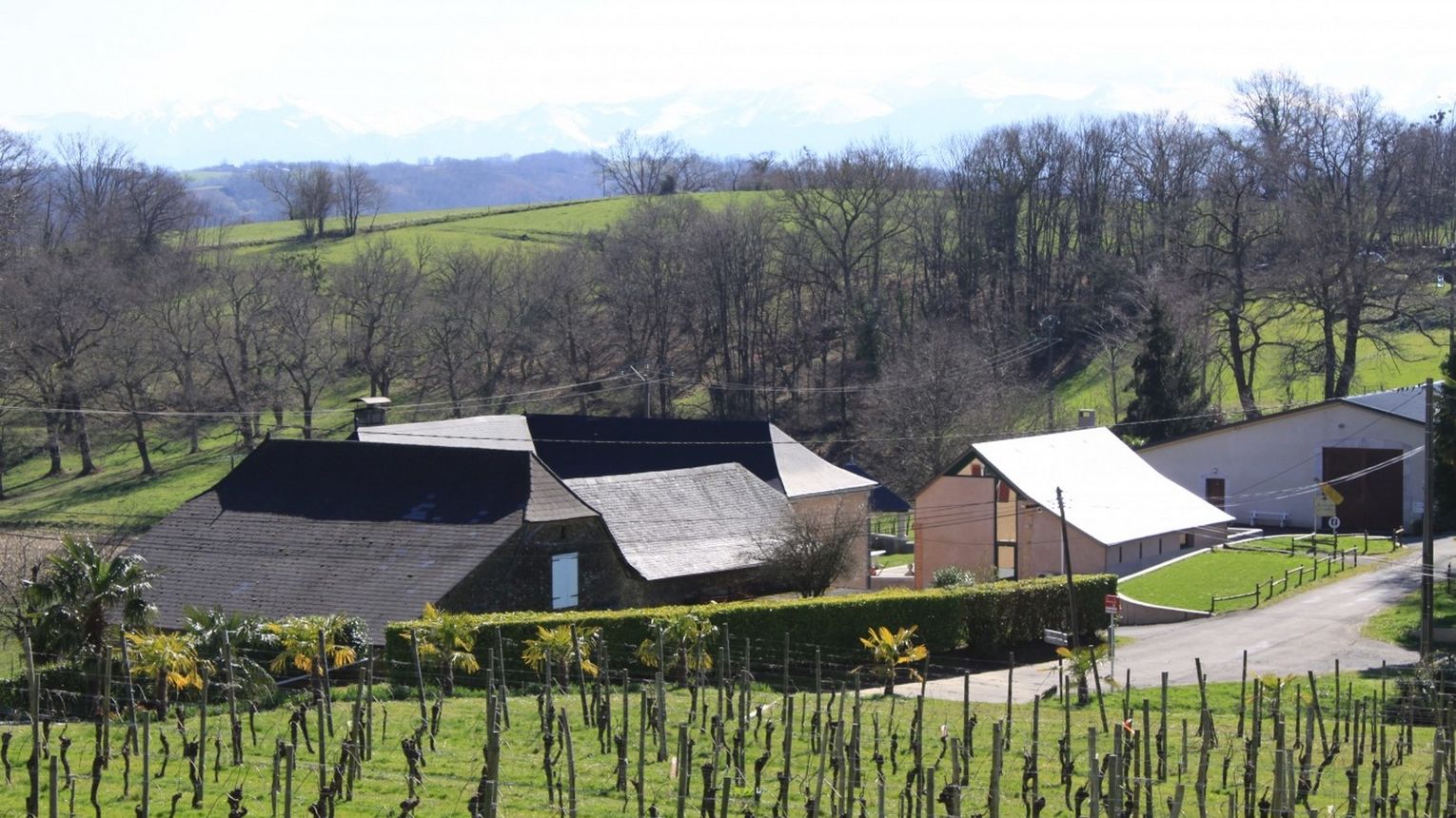 Domaine Capdevielle - MONEIN