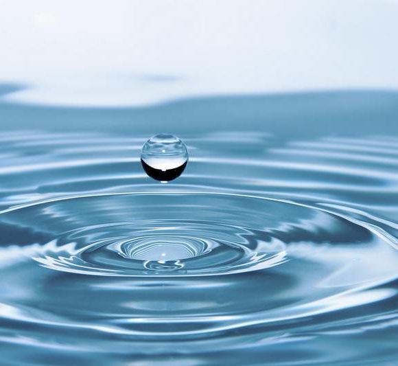 Atelier : L’eau, un trésor à préserver - MONEIN