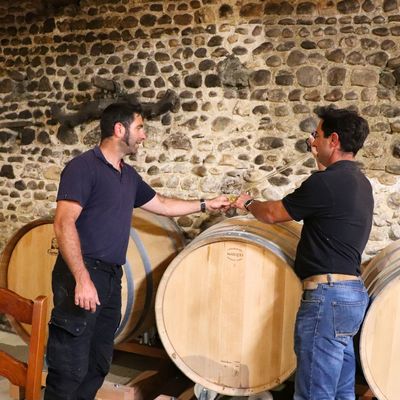 Domaine Montesquiou - MONEIN