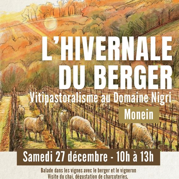 L'hivernale du berger - MONEIN