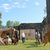 Campement militaire et lancer de haches - ORTHEZ