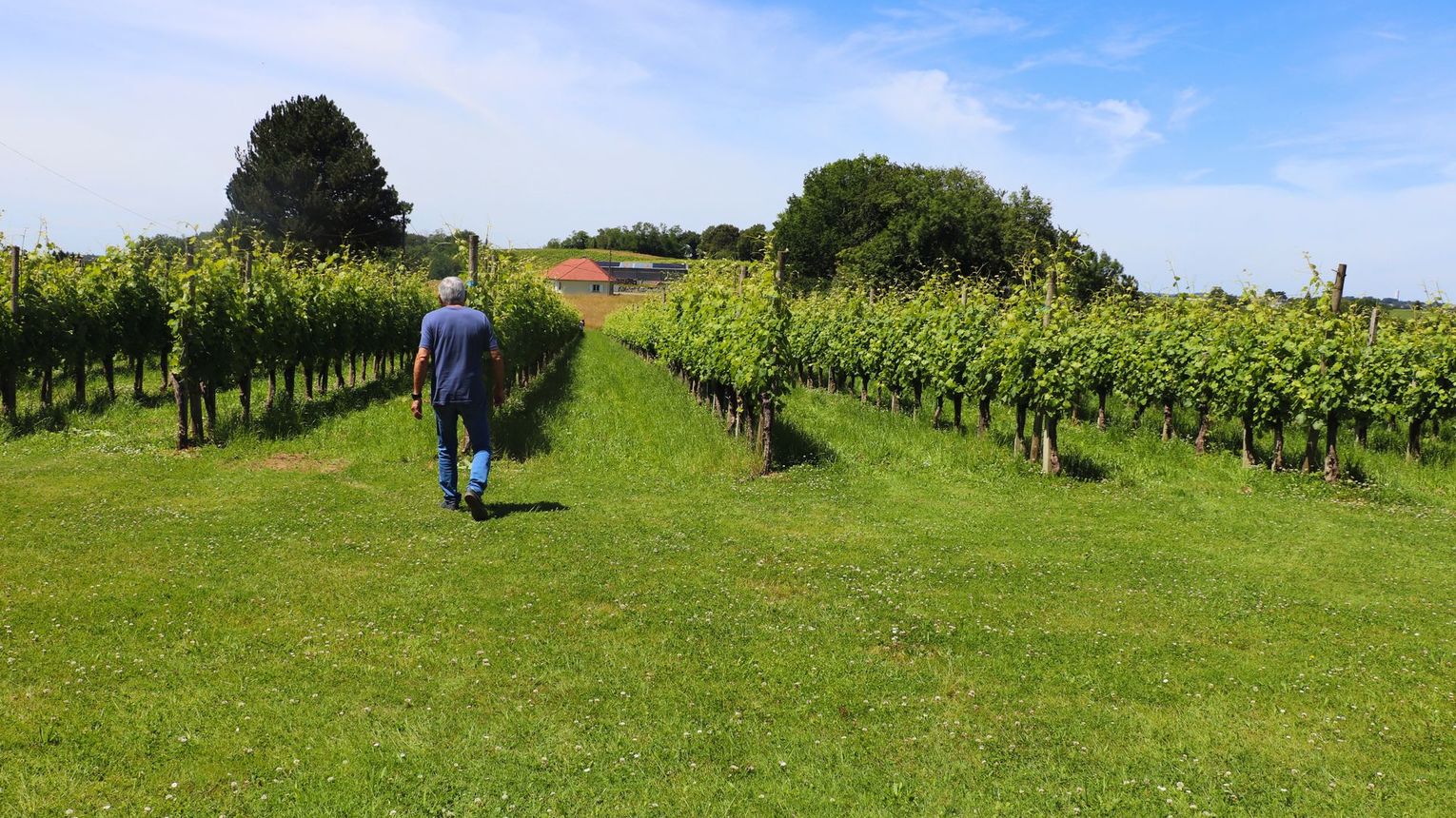 Domaine Malarrode - MONEIN