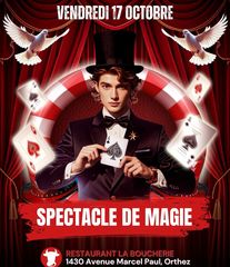 Spectacle de magie - ORTHEZ