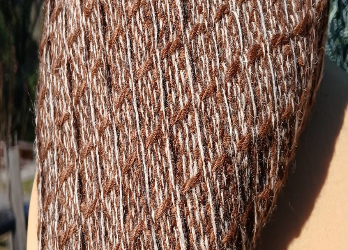 Ferme Pakucha - LUCQ-DE-BEARN